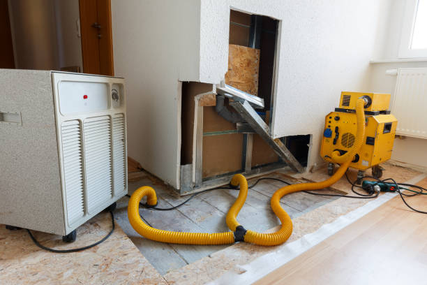 Best Mold Removal for HVAC Installations  in Mount Sterling, OH